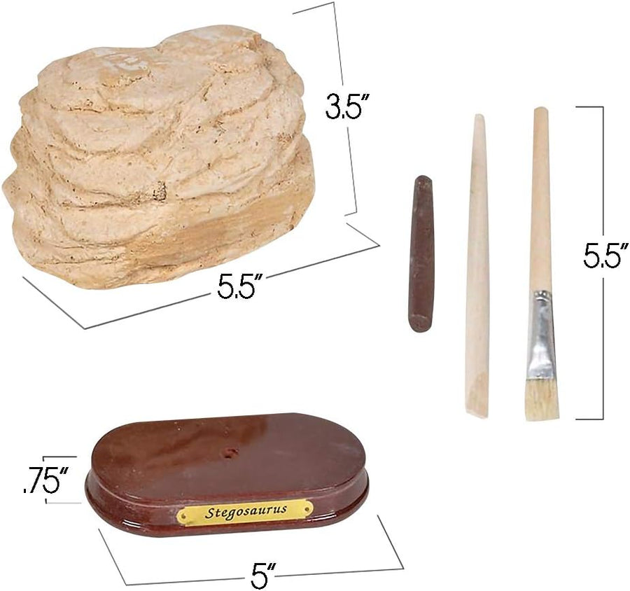 ArtCreativity Dinosaur Excavation Kit for Kids, 5.5” Stegosaurus Skull Excavating Set with Fossil Digging Tools and Stand, Fun Science Activity Toy, Educational Dinosaur Gift for Boys and Girls