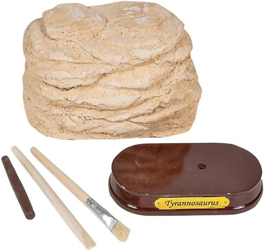 5.5” T-Rex Dino Skull Excavating Set with Fossil Digging Tools and Stand