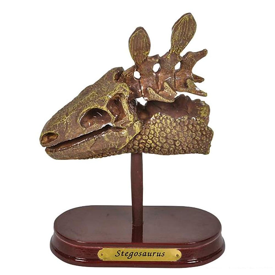 ArtCreativity Dinosaur Excavation Kit for Kids, 5.5” Stegosaurus Skull Excavating Set with Fossil Digging Tools and Stand, Fun Science Activity Toy, Educational Dinosaur Gift for Boys and Girls