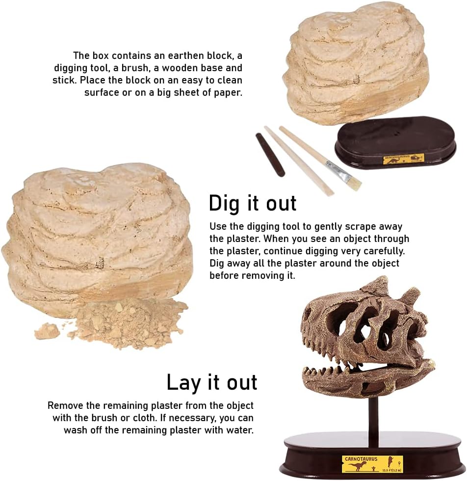ArtCreativity Dinosaur Excavation Kit for Kids, Carnotaurus Skull Excavating Set with Fossil Digging Tools and Stand, Fun Science Activity Toy, Educational Dinosaur Gift for Boys and Girls