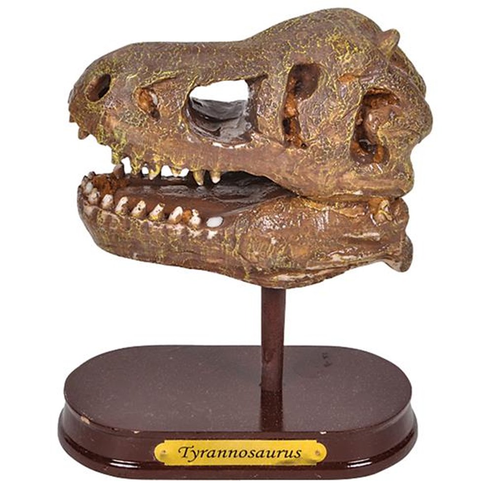 5.5” T-Rex Dino Skull Excavating Set with Fossil Digging Tools and Stand