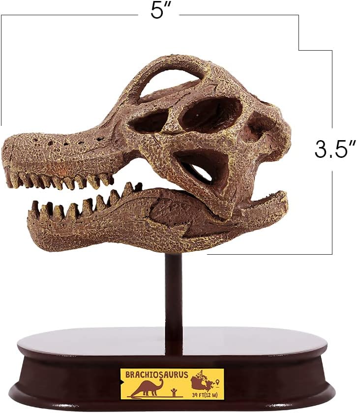 ArtCreativity Dinosaur Excavation Kit for Kids, Brachiosaurus Skull Excavating Set with Fossil Digging Tools and Stand, Fun Science Activity Toy, Educational Dinosaur Gift for Boys and Girls