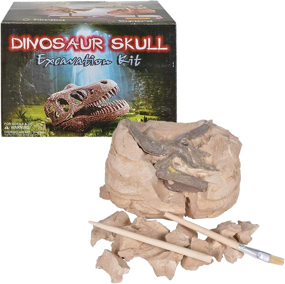 5.5” Triceratops Skull Excavating Set with Fossil Digging Tools and Stand