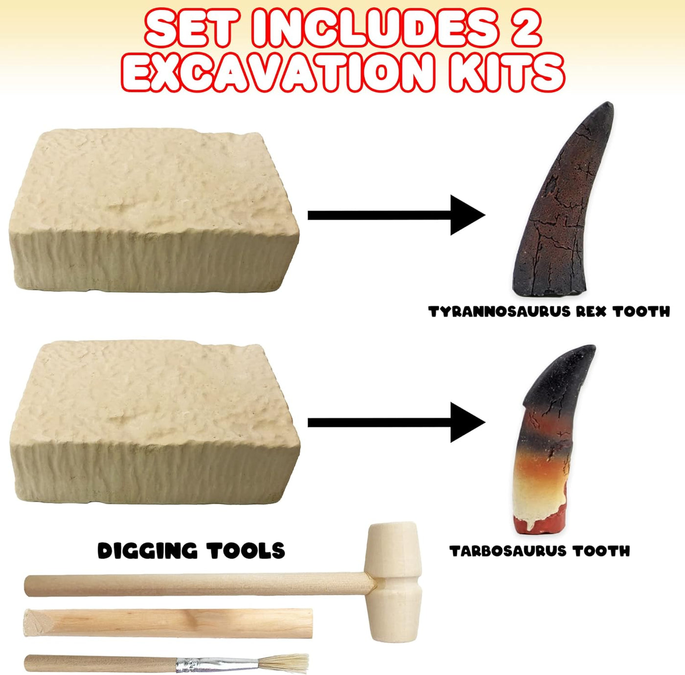 Dino Teeth Dig and Discover Excavation Kit for Kids, Includes T-rex and Tarbosaurus Toy Fossil Teeth with 2 Digging Tools