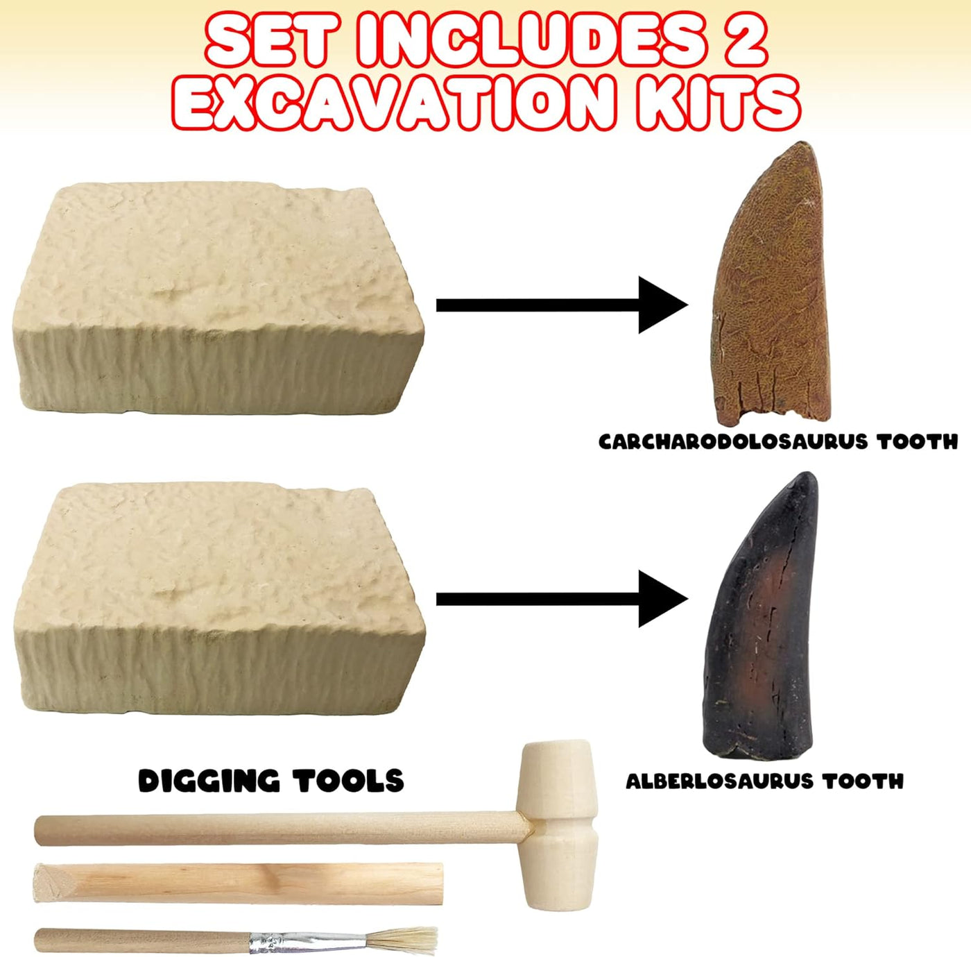 ArtCreativity Dino Teeth Dig and Discover Excavation Kit for Kids, Includes Alberlosaurus and Carcharodolosaurus Toy Fossil Teeth with 2 Digging Tools, Interactive Dinosaur Gifts for Boys and Girls