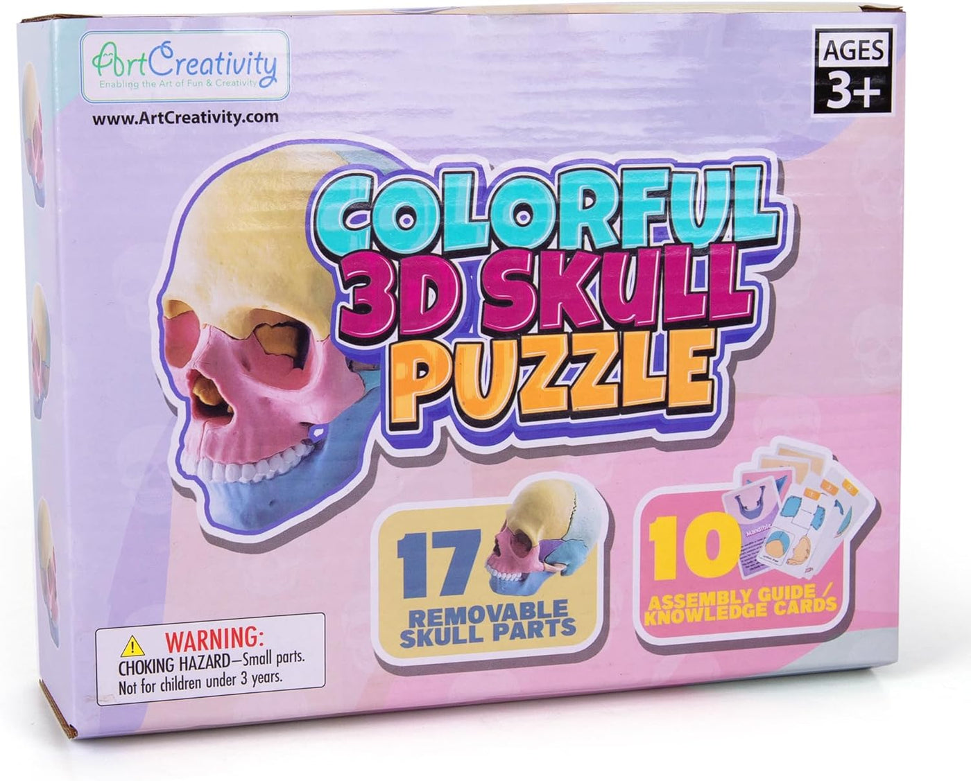 ArtCreativity Anatomical Skull Puzzle - Human Skull Model Puzzle with 17 Pieces - 10 Educational Cards with Instructions - Kids Anatomy Toys Ages 8 and Up - Anatomy Study Tools for Science Class