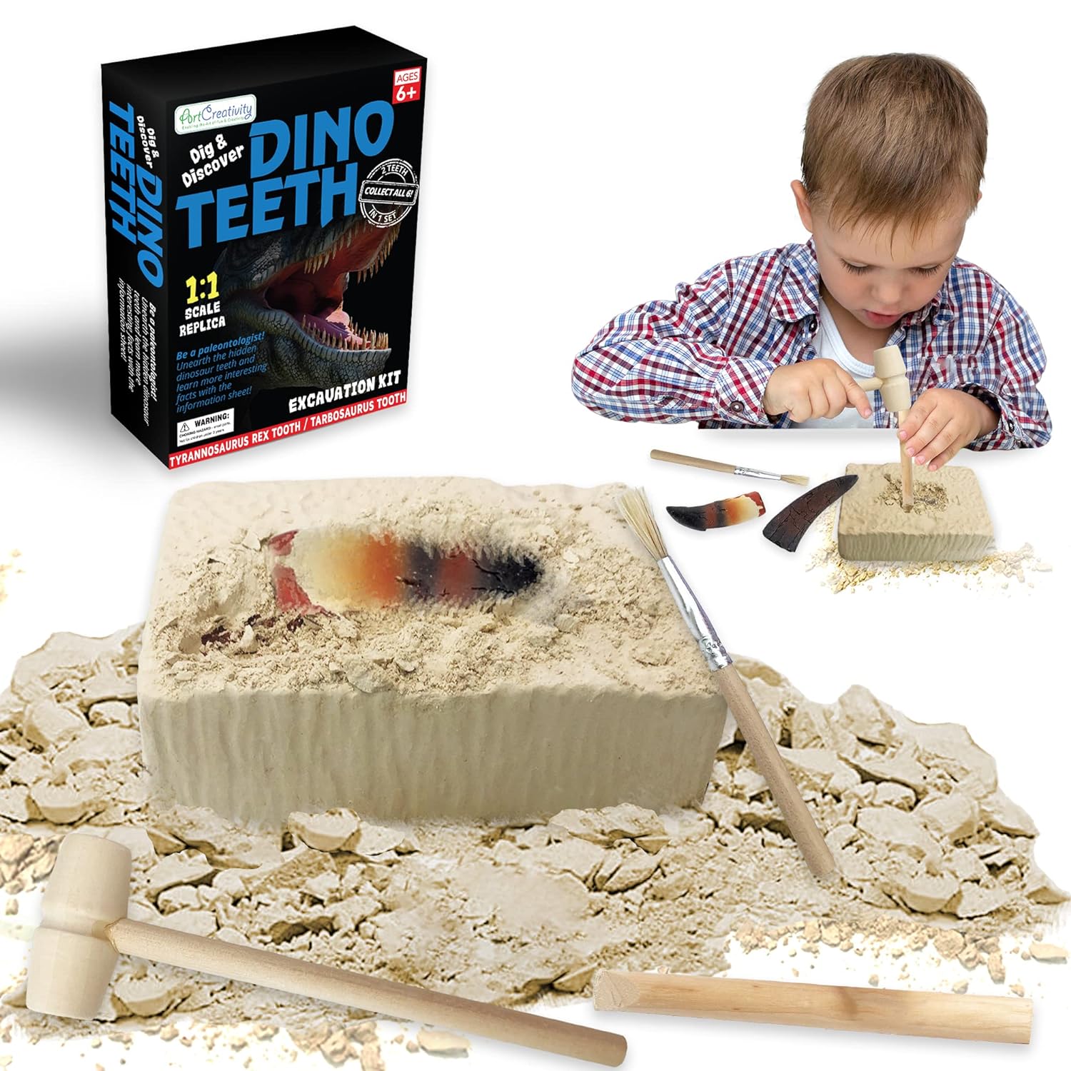 Dino Teeth Dig and Discover Excavation Kit for Kids, Includes T-rex and Tarbosaurus Toy Fossil Teeth with 2 Digging Tools